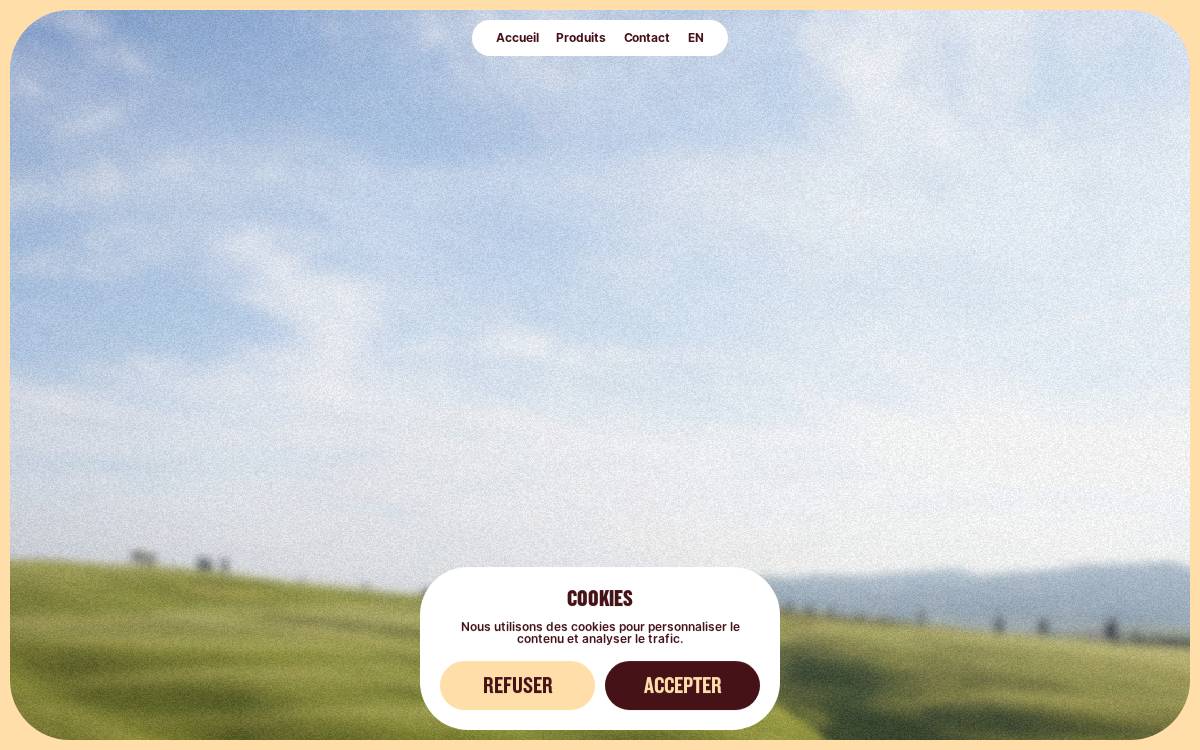 Gustafoods website preview