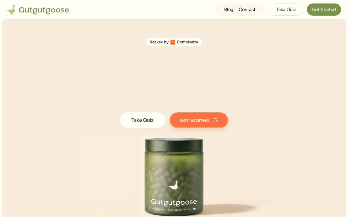 Gutgutgoose website preview