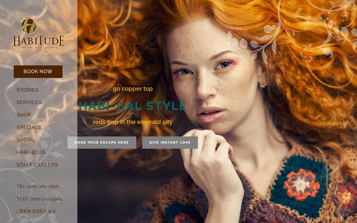 Habitude website preview