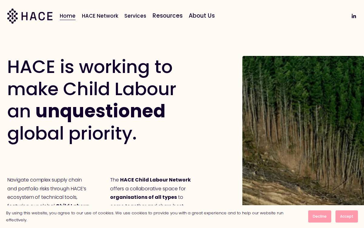 HACE website preview