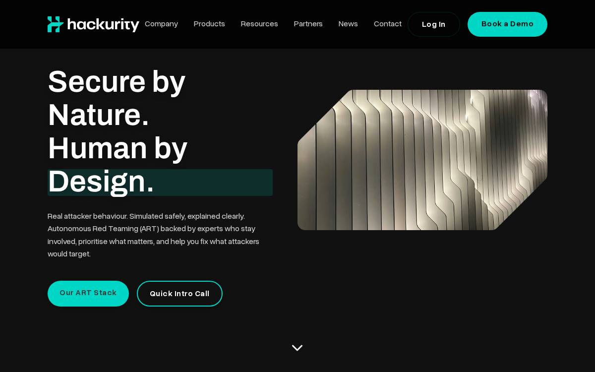 Hackurity website preview