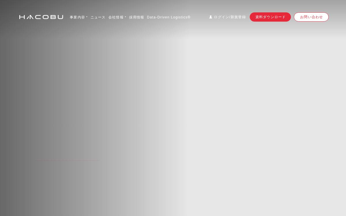 Hacobu website preview