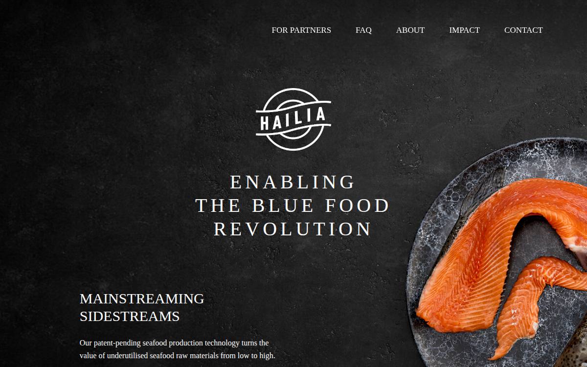 Hailia website preview
