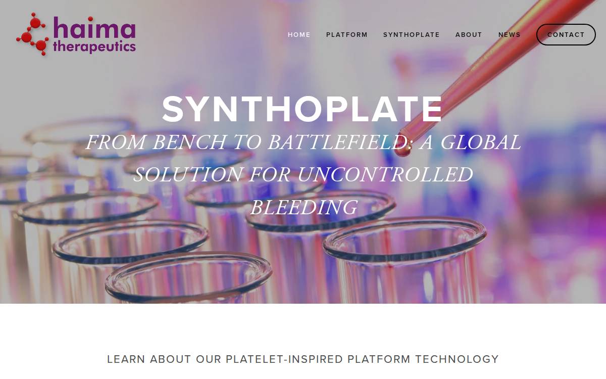 Haima website preview
