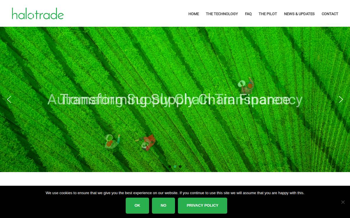Halotrade website preview