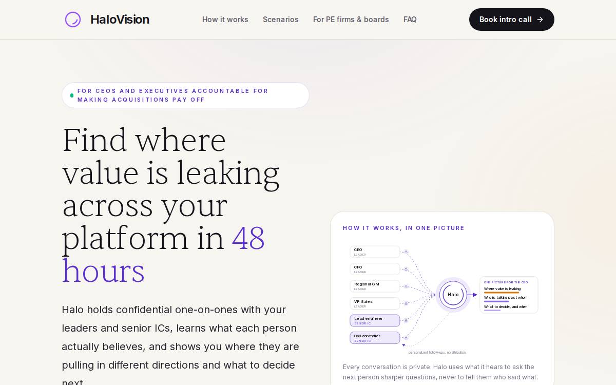 HaloVision website preview