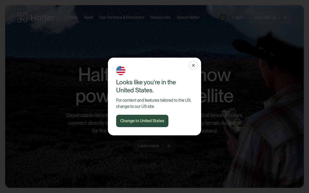 Halter website preview