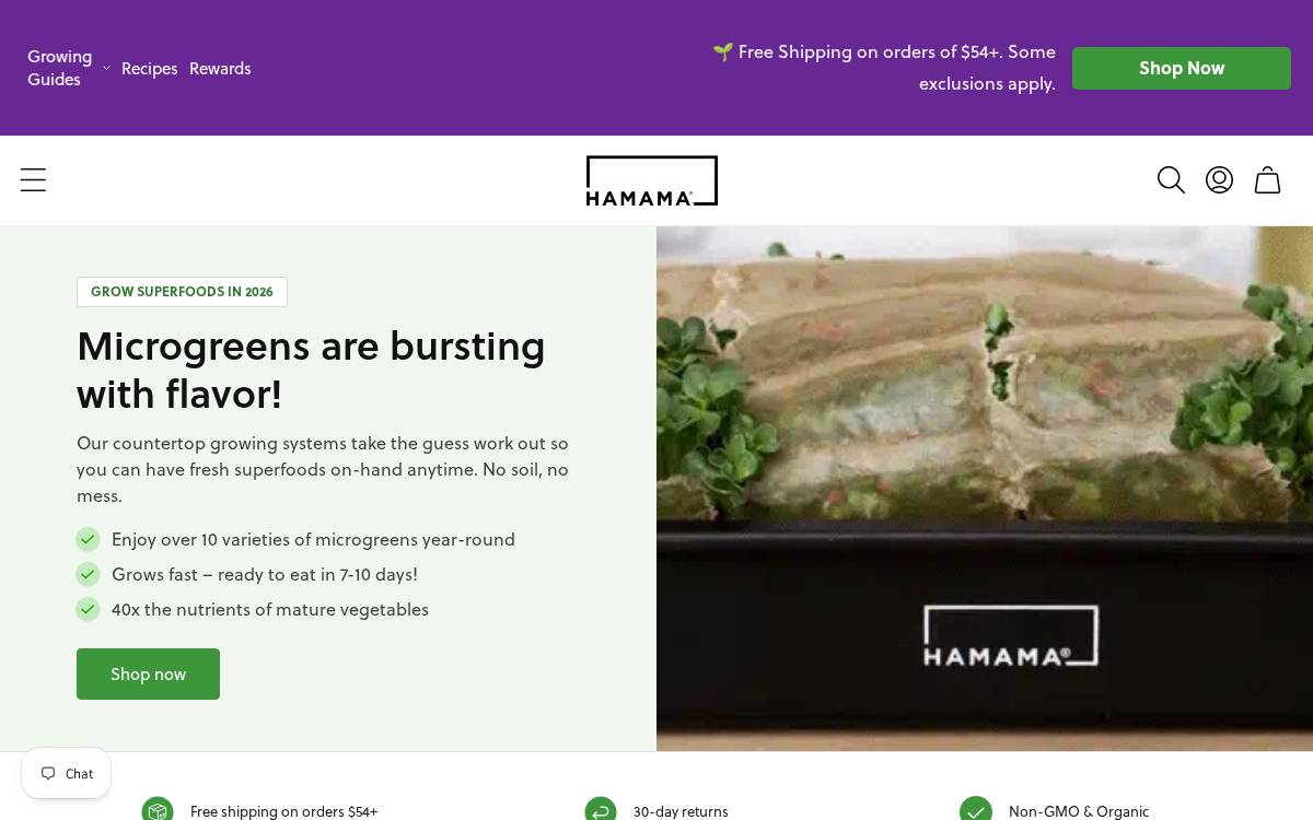 HAMAMA website preview