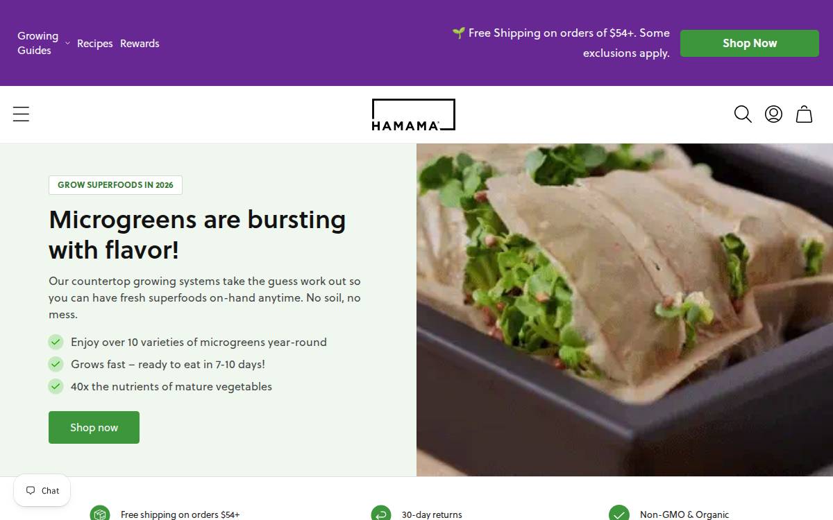 Hamama website preview