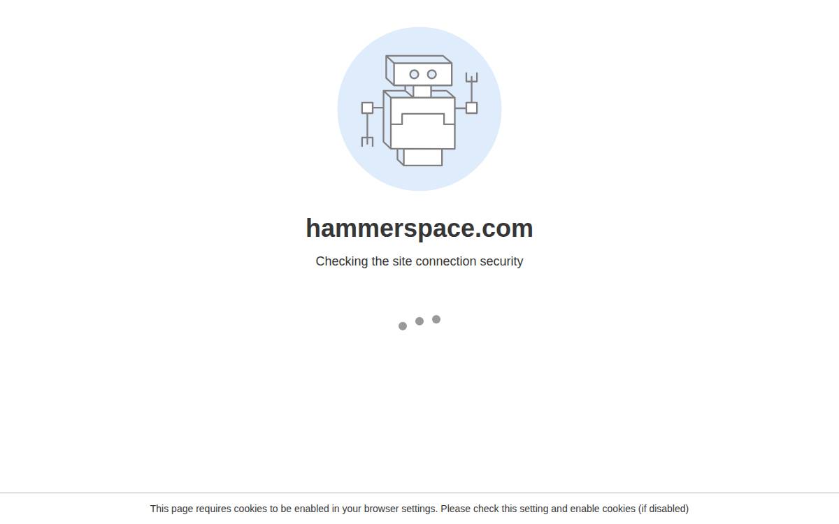 Hammerspace website preview