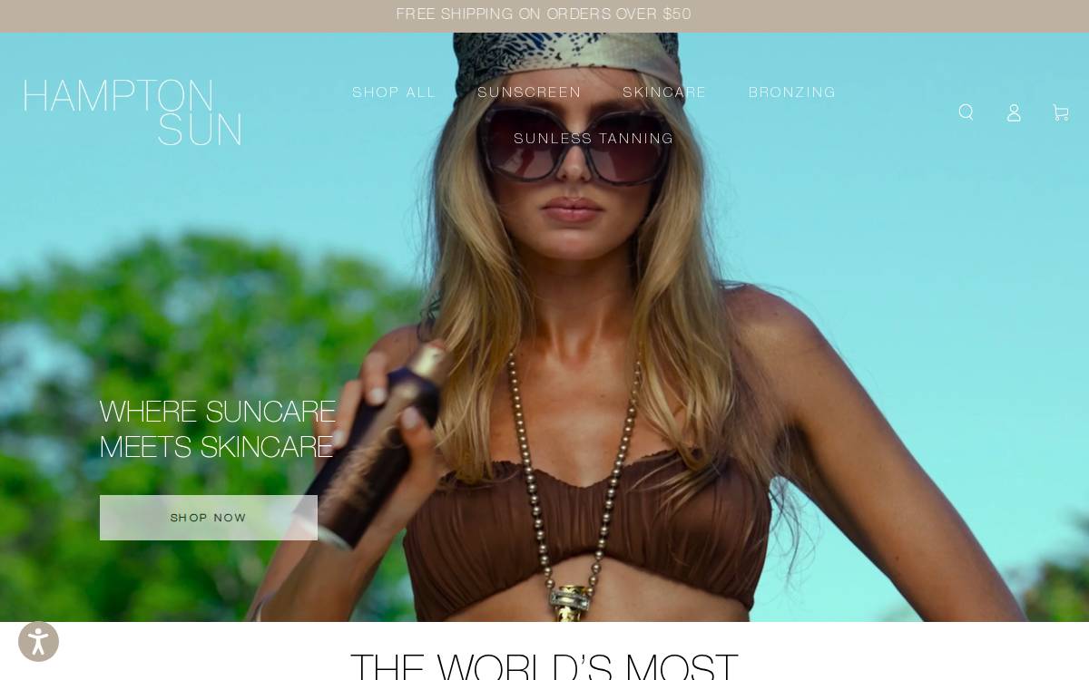 Hampton Sun website preview