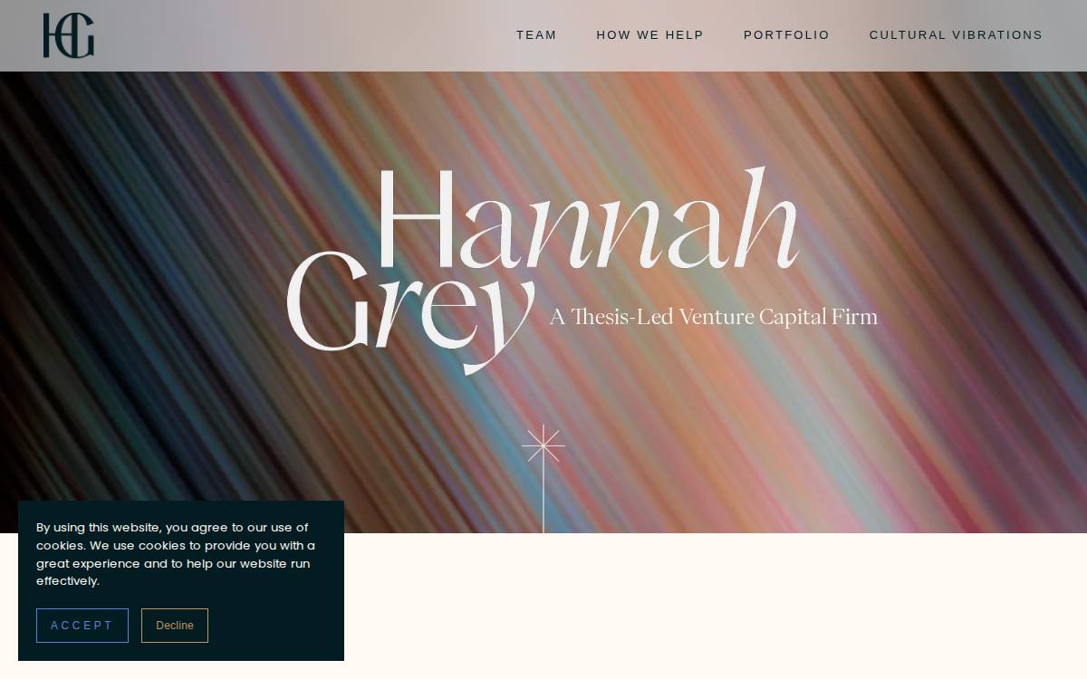 Hannah Grey Ventures website preview