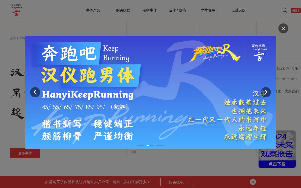 Hanyi website preview