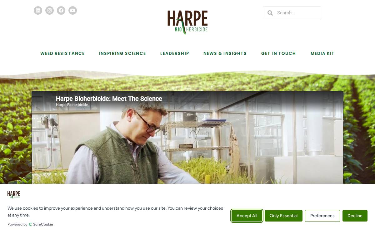 Harpebio website preview