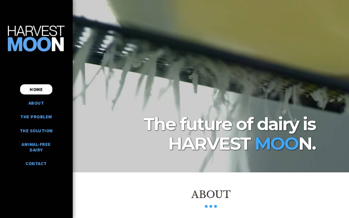 Harvest Moon website preview