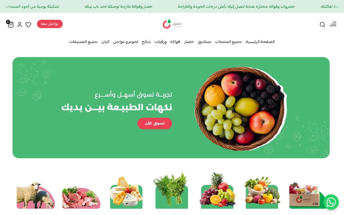 Haseel website preview