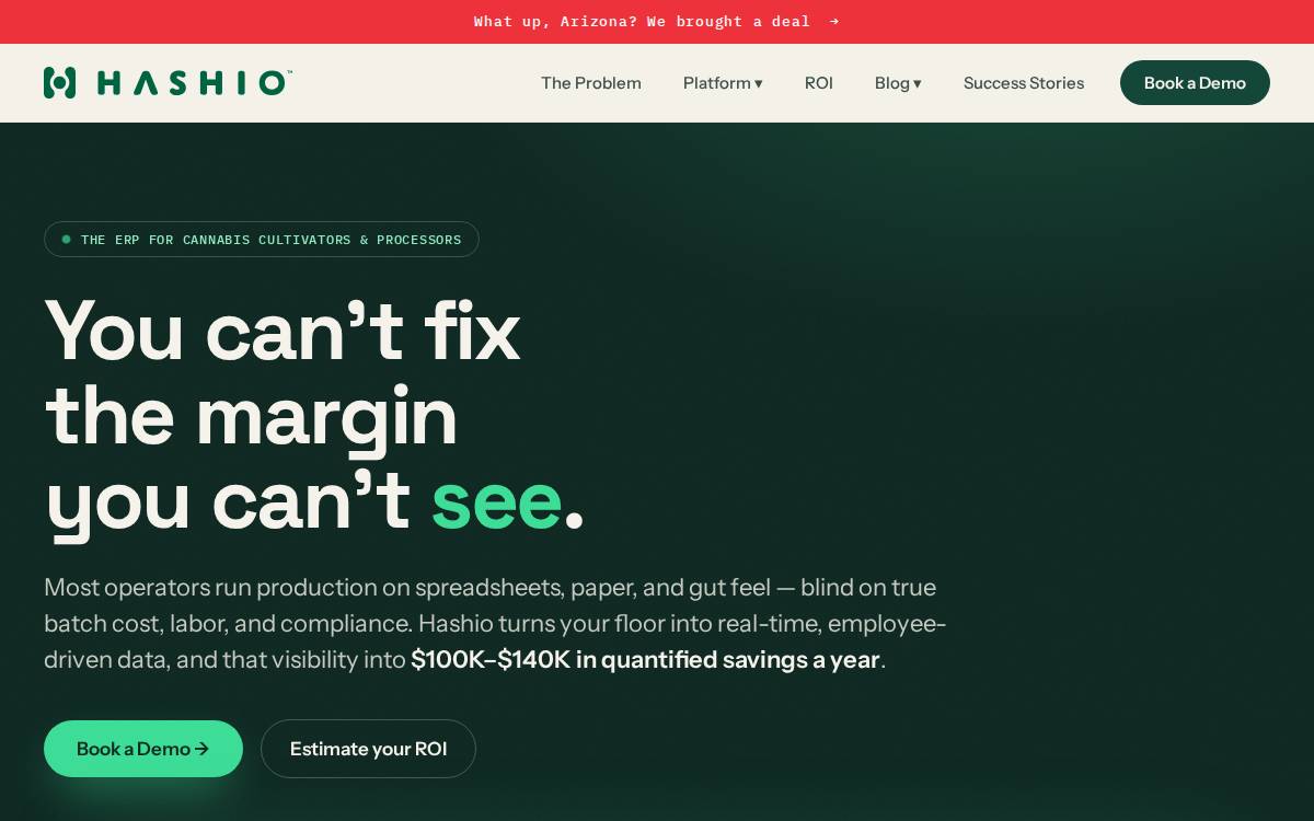 Hashio website preview