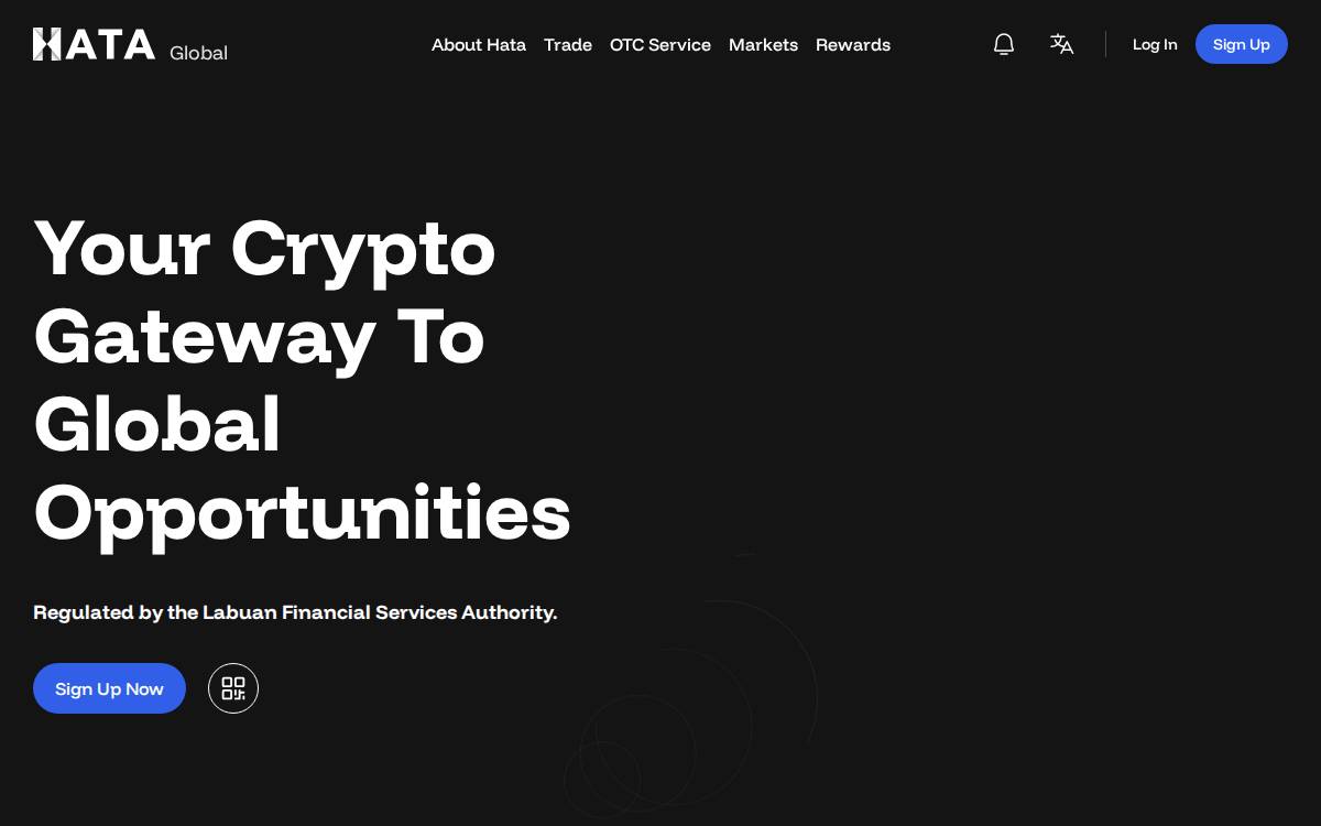 Hata website preview