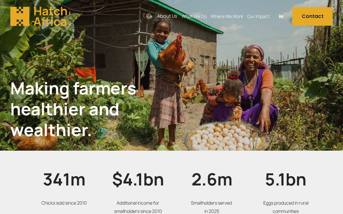 Hatch Africa website preview