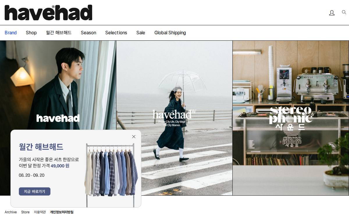Havehad website preview