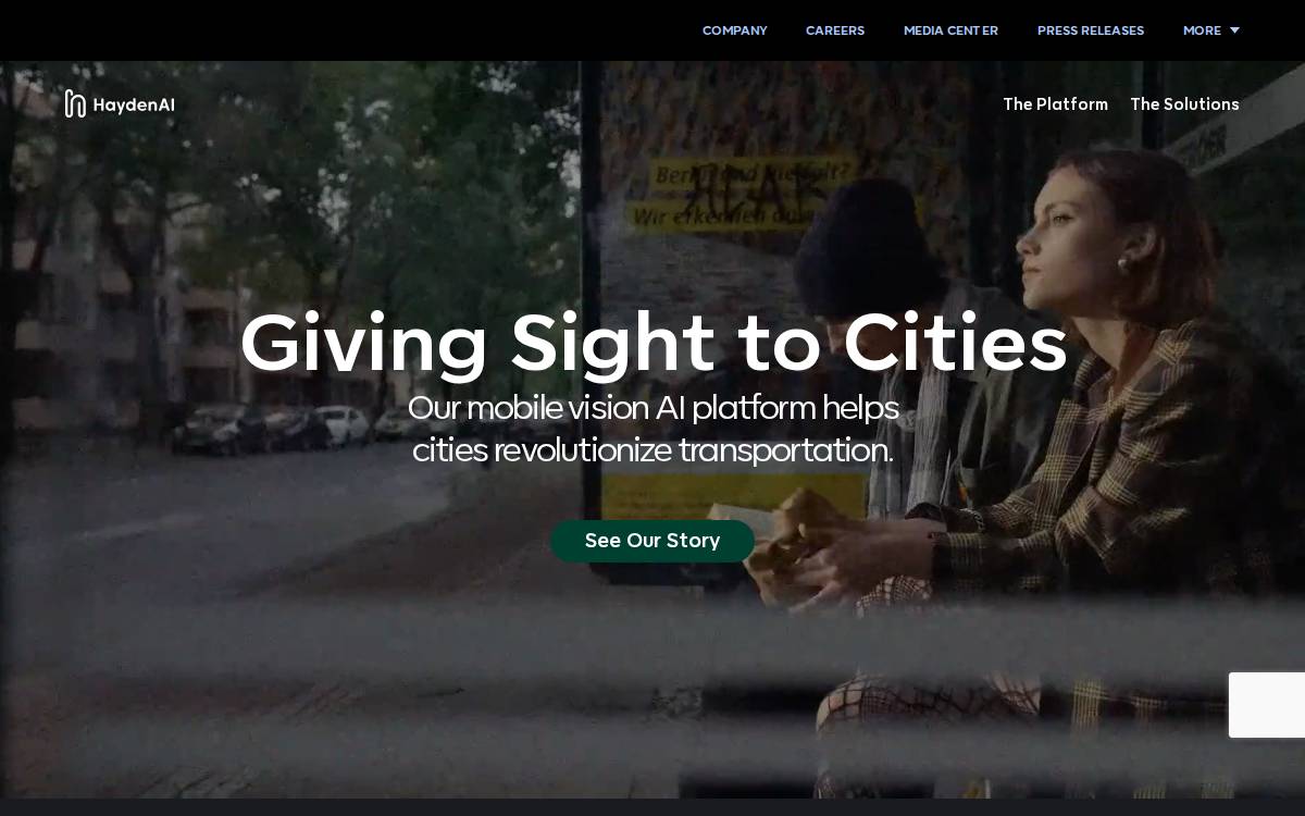 Hayden website preview