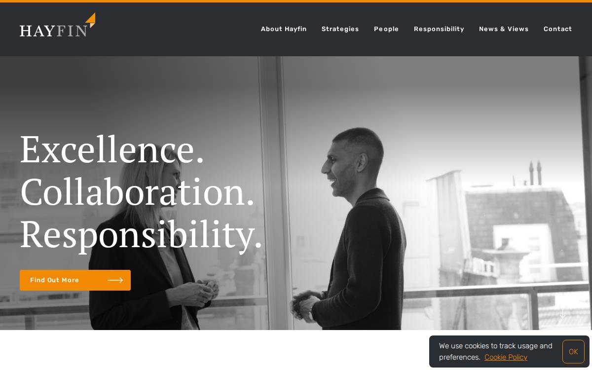 Hayfin website preview