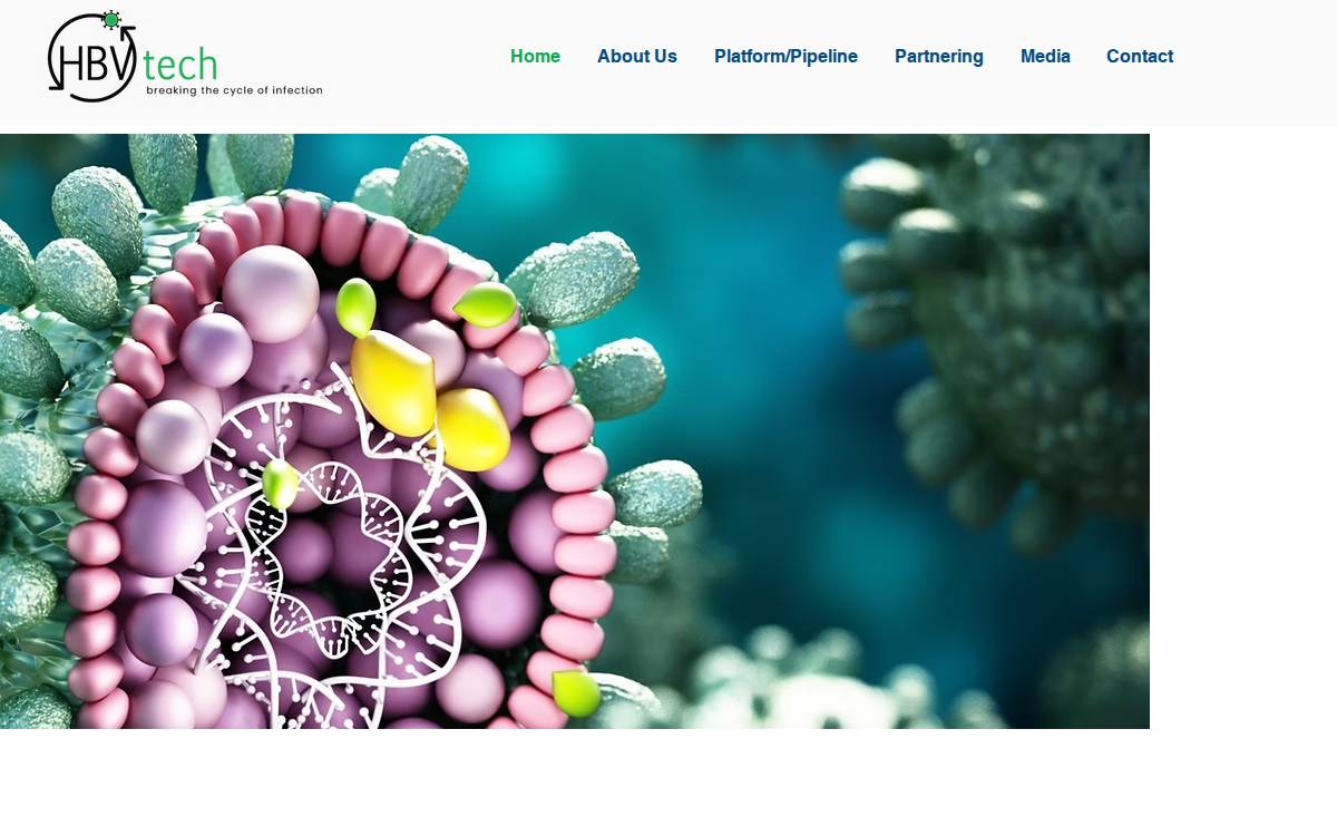 Hbvtech website preview