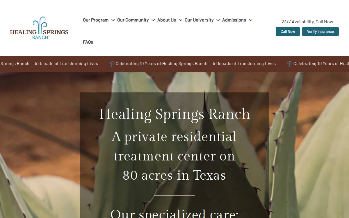 Healing Springs website preview
