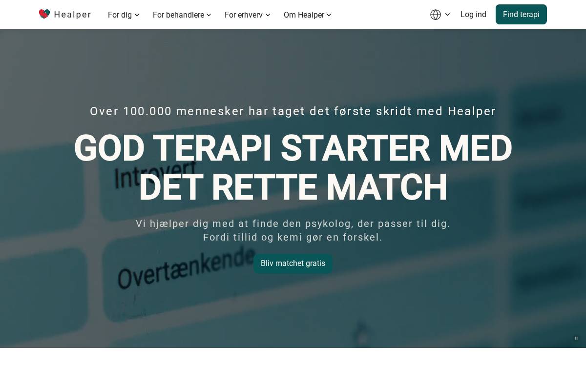 Healper website preview