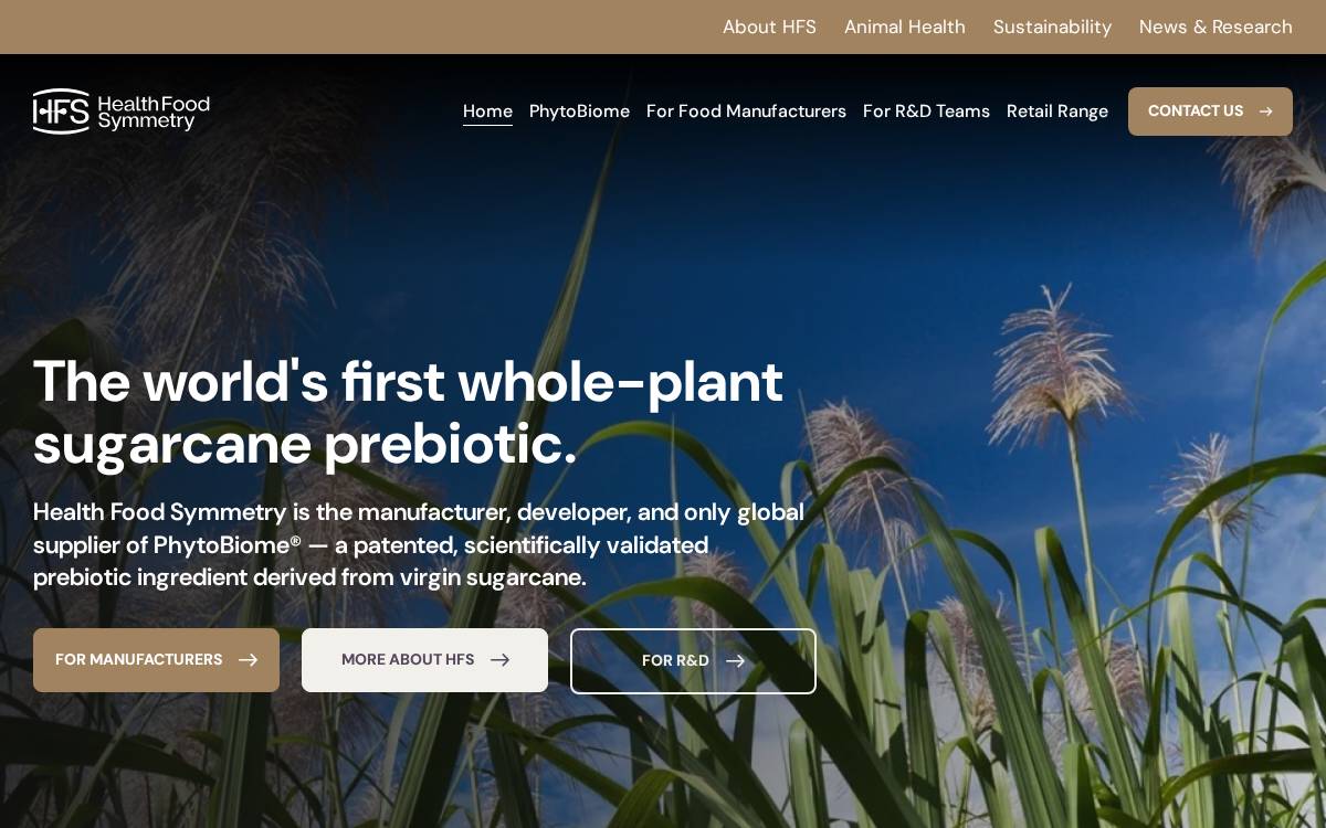 Health Food Symmetry website preview