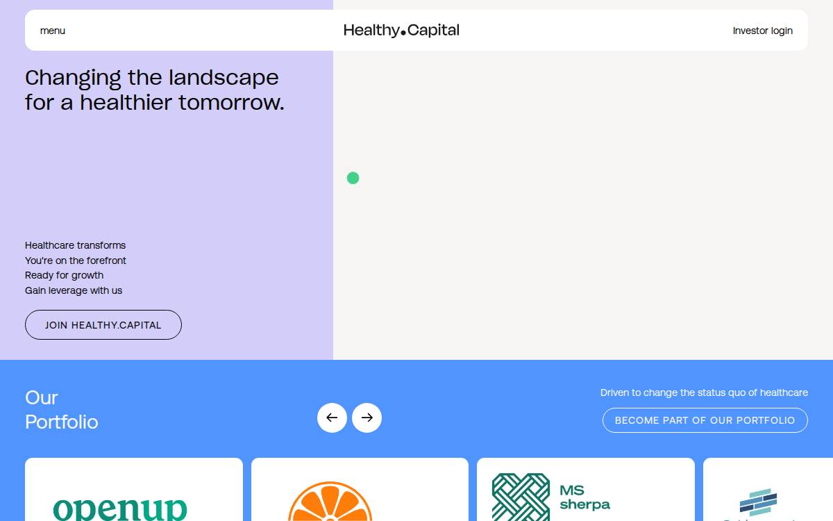 Healthy website preview