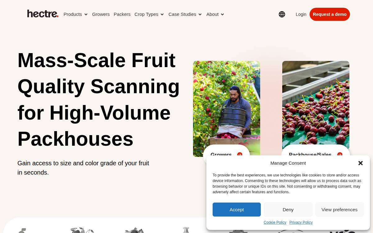 Hectre Group Limited website preview