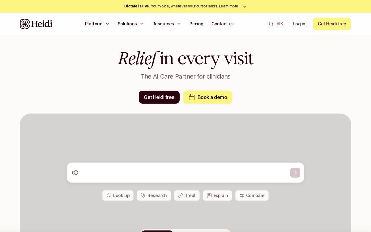 Heidi website preview