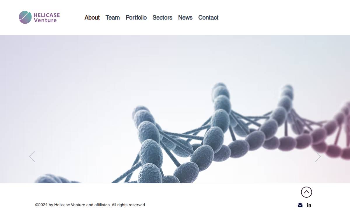 Helicase Venture website preview