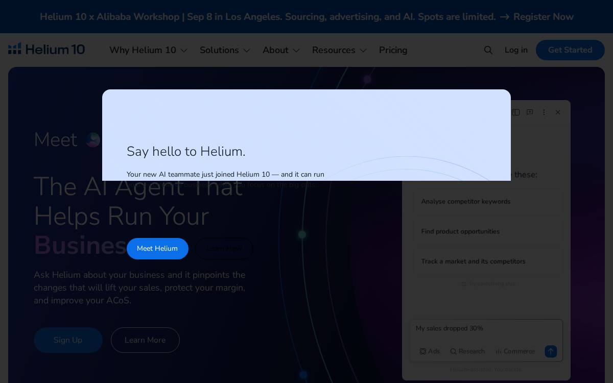 Helium10 website preview