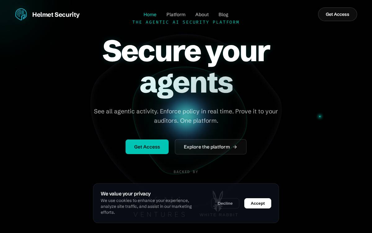 Helmet Security website preview