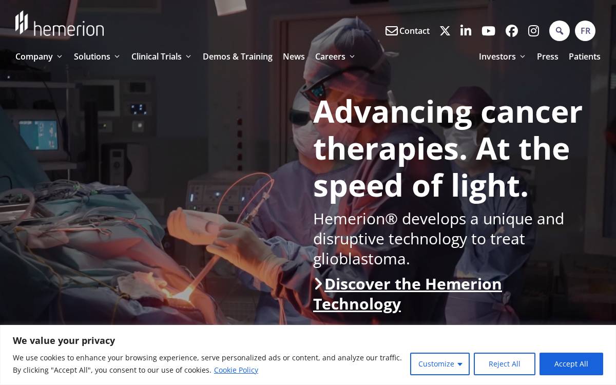 Hemerion website preview