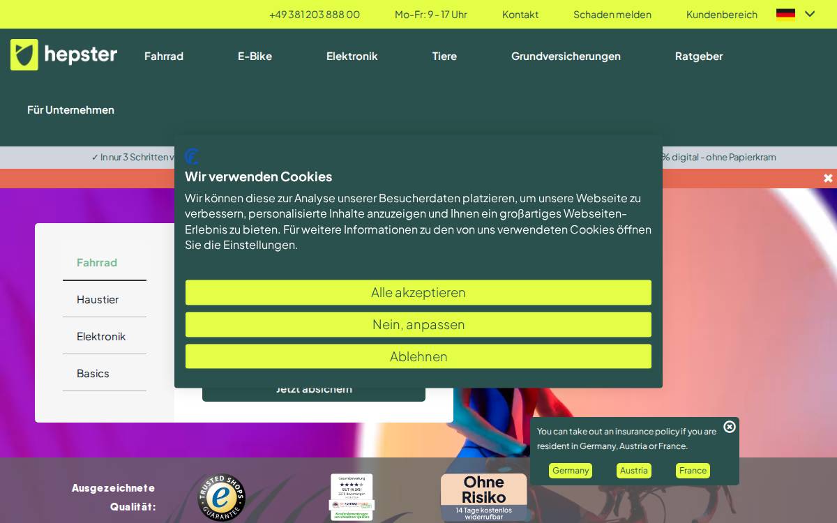 hepster website preview