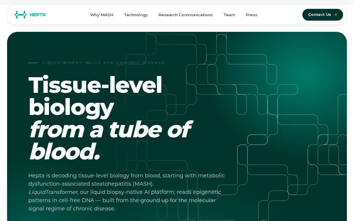 Hepta website preview