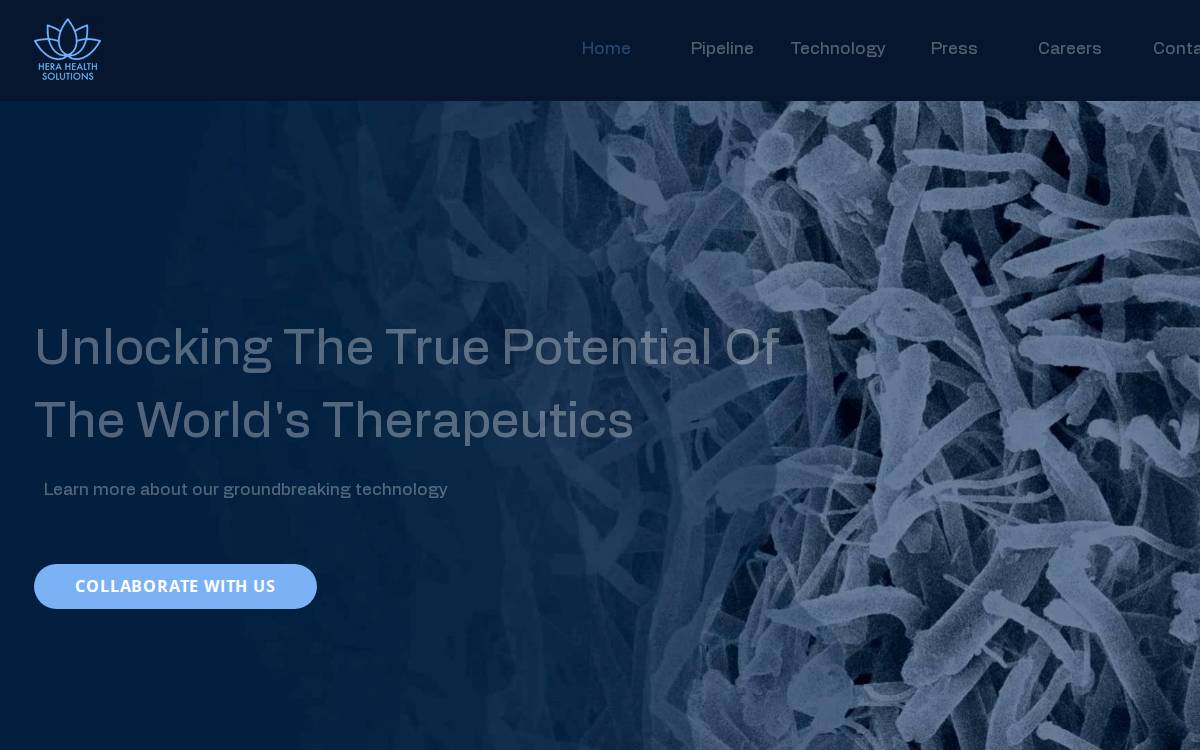 Hera Health Solutions website preview
