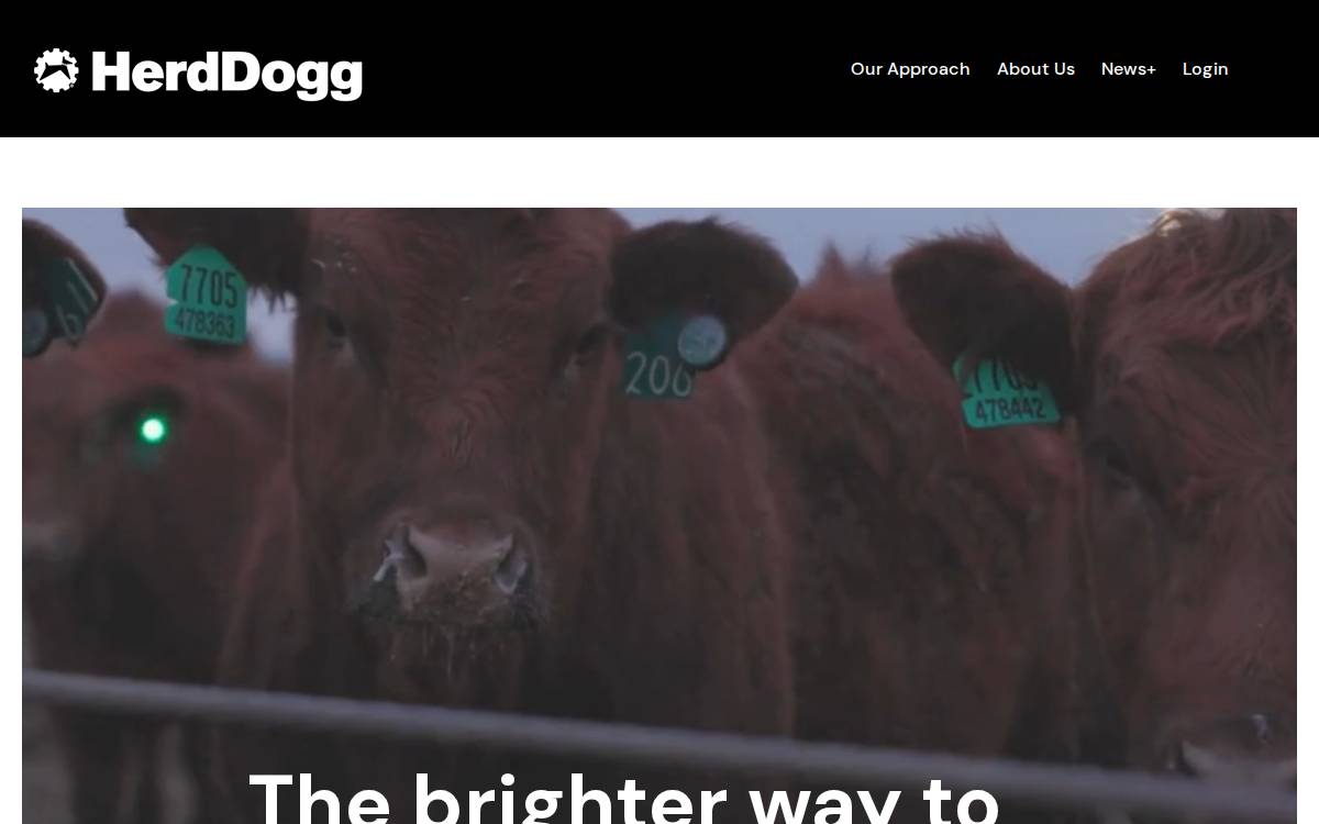 HerdDogg, Inc. website preview