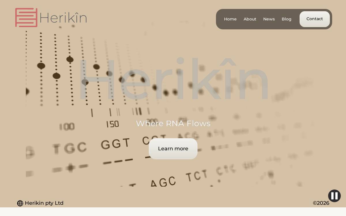 Herikin website preview