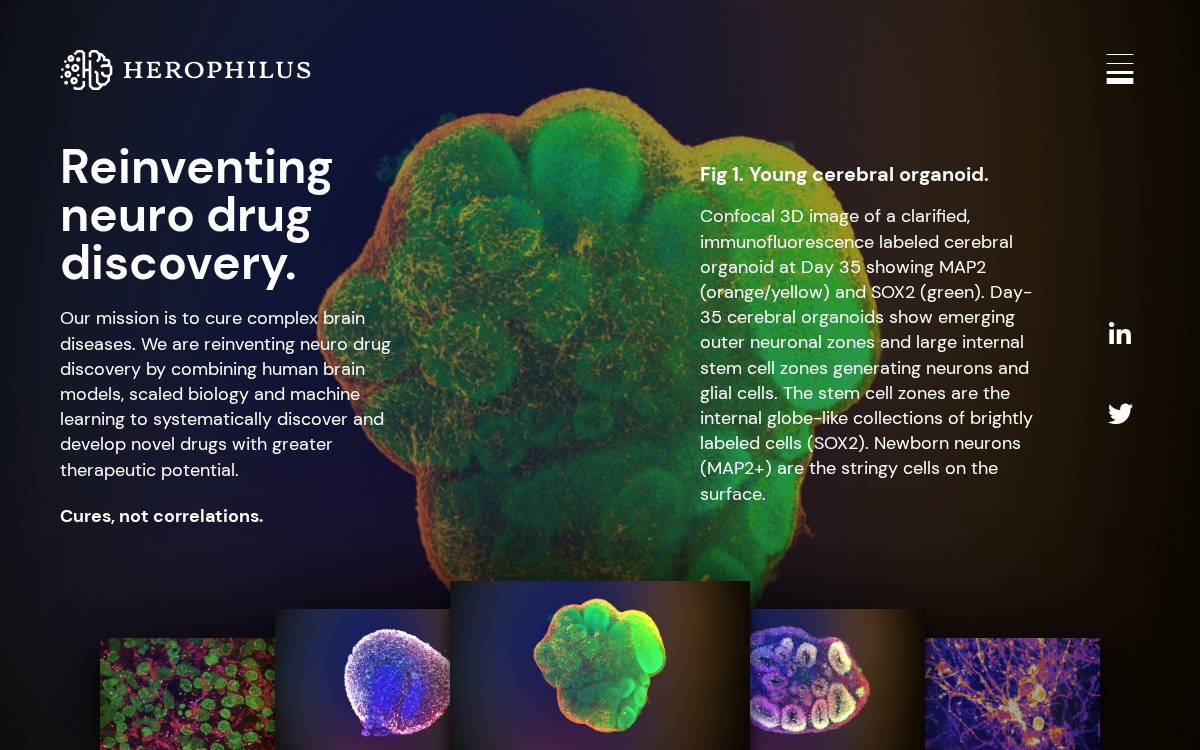 Herophilus website preview