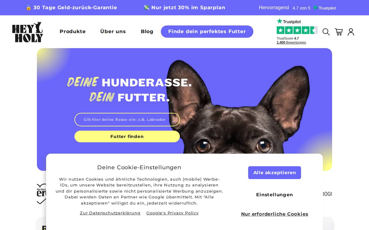 Hey Holy website preview