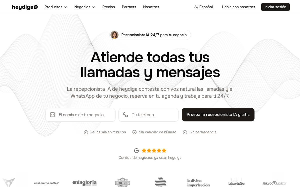 Heydiga website preview