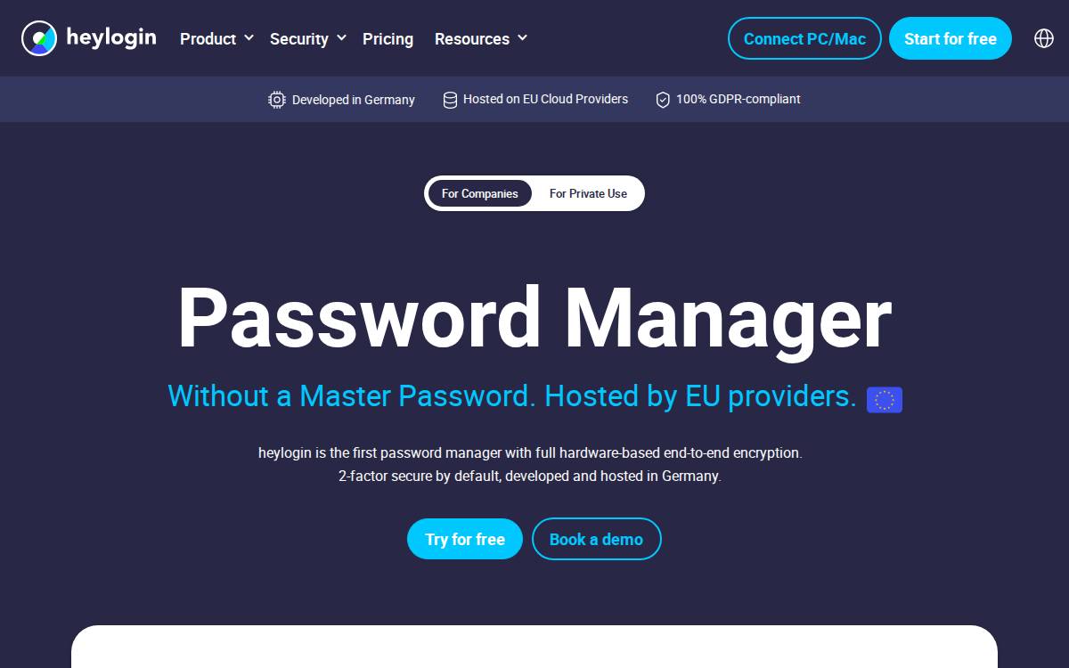Heylogin website preview