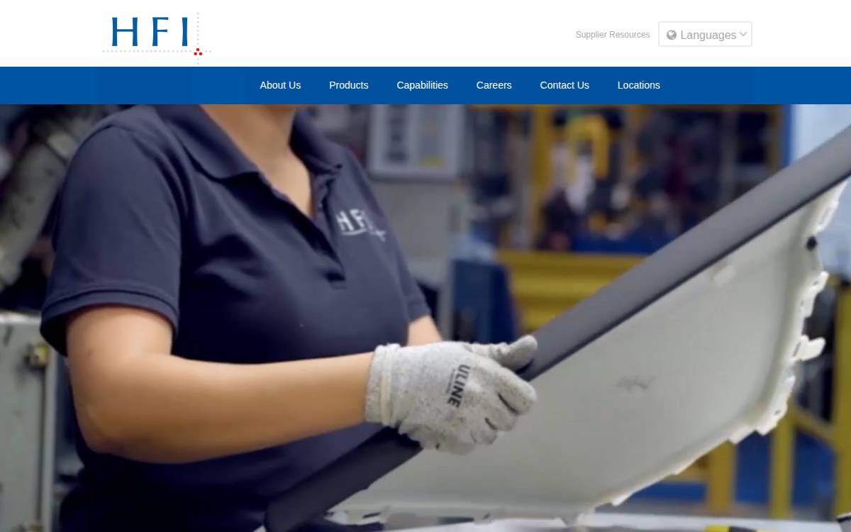 Hfi website preview