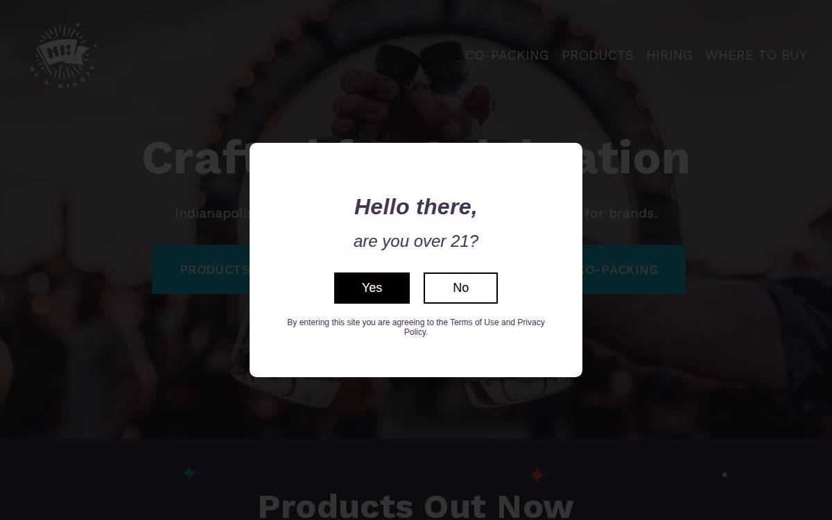 Hi & Mighty website preview