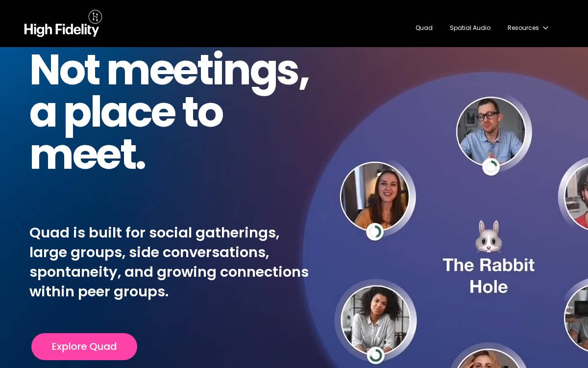 High Fidelity Consumer Growth Exit website preview