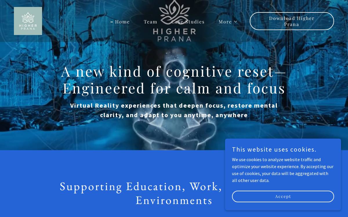 Higher Prana Virtual Reality website preview